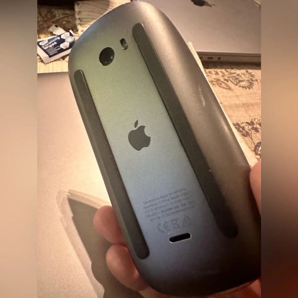 Bluetooth Apple Mouse.
